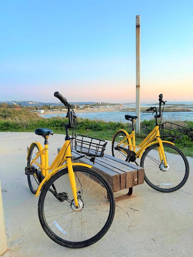 Nachsholim Kibbutz Country Lodging ナーショリム エクステリア 写真