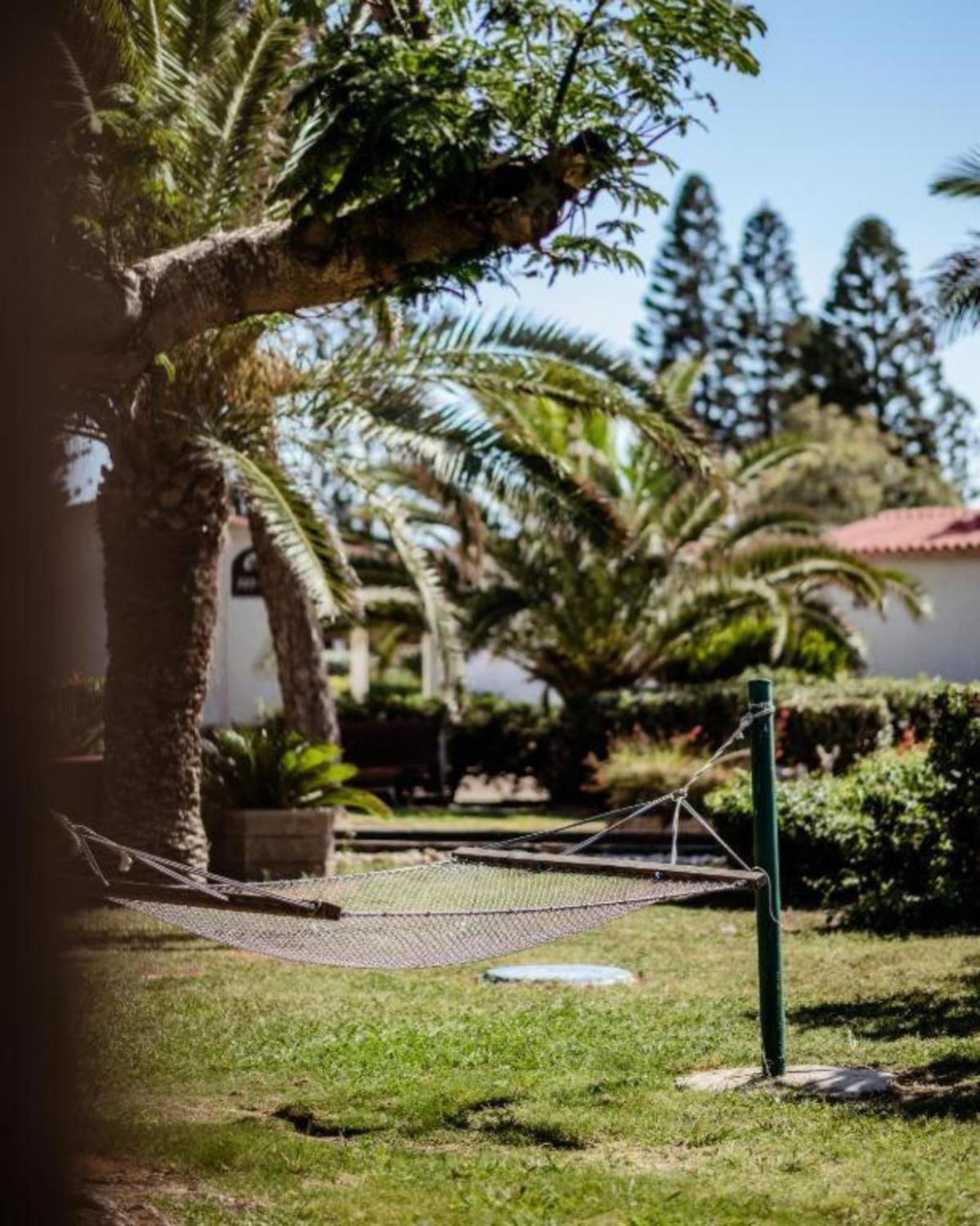 Nachsholim Kibbutz Country Lodging ナーショリム エクステリア 写真